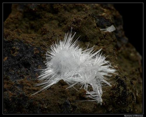 Aragonite
Coubon, Haute-Loire, France
fov 10 mm (Author: ploum)