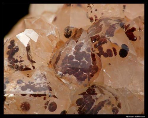 Quartz hematoide
L’argentolle, Saône et Loire, France
fov 10 mm (Author: ploum)