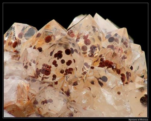 Quartz hematoide
L’argentolle, Saône et Loire, France
fov 20 mm (Author: ploum)