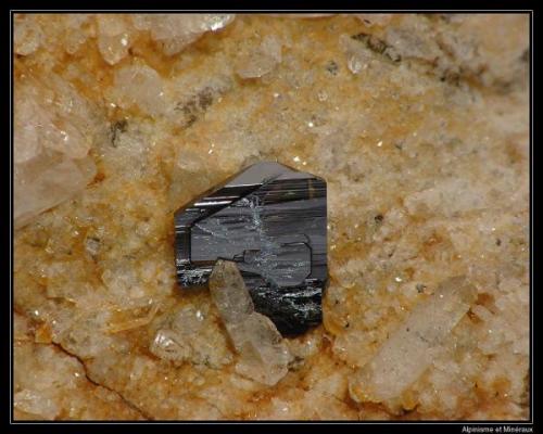 Anatase
Grand Colombier, Savoie, France
fov 3 mm (Author: ploum)