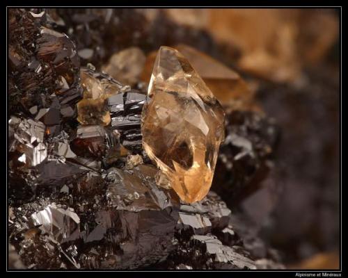 Calcite on sphalérite
Elmwood, Tennessee, USA
fov 15 mm (Author: ploum)