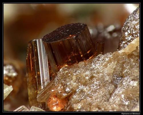 Vesuvianite
Bellecombe, Val d’Aosta, Italy
fov 5 mm (Author: ploum)