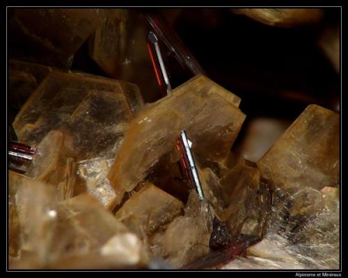 Rutile on muscovite
Val Formazza, Piamonte, Italy
fov  5 mm (Author: ploum)