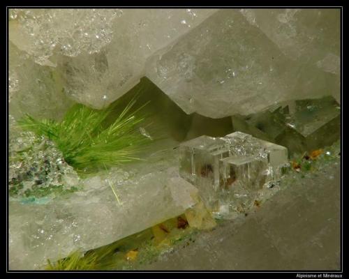 Agardite and fluorite
Clara Mine, Wolfach, Black Forest, Baden-Württemberg, Germany
fov 5 mm (Author: ploum)