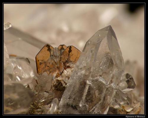 Brookite with quartz
Tête noire, Valais, Switzerland
fov 5 mm (Author: ploum)
