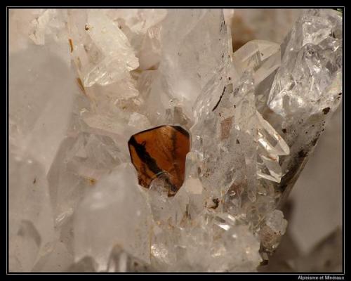 Brookite with quartz
Tête noire, Valais, Switzerland
fov 10 mm (Author: ploum)