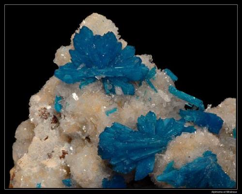 Cavansite on stilbite
Poona, Maharahstra, India
fov: 25 mm (Author: ploum)