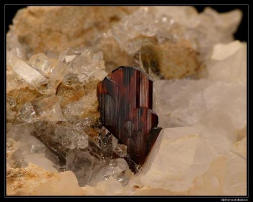 Brookite on quartz
Quetta, Balouchistan, Pakistan
3 cm (Author: ploum)