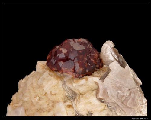 Grenat on muscovite
Shigar Valley, Pakistan
6 cm (Author: ploum)