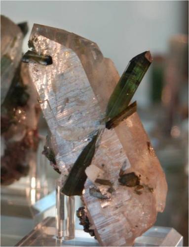 Gemmy green tourmaline "spear" in quartz.  This piece is 12.6 x 5.1 x 5.1 cm, weighs 125 grams and is from Pederneira mine, Brazil (Author: VRigatti)
