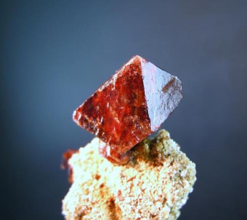 Espinela Rubí
Sierra de Mijas - Málaga - Andalucía - España
Cristal de 2.8 cm (Autor: Diego Navarro)