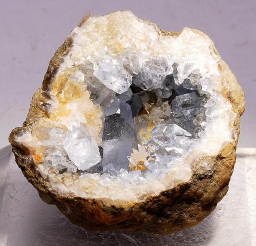 Fluorite 
El Hammam, Meknès, Meknès-Tafilalet Region, Morocco
Fluorite to 5 mm (Author: nurbo)