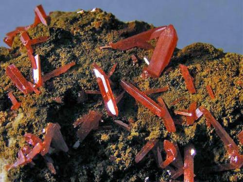 Crocoita.
Cristales hasta 1,1 cm. Dundas Extended Mine, Dundas, Tasmania, Australia.
Col. y foto Nacho Gaspar. (Autor: Nacho)