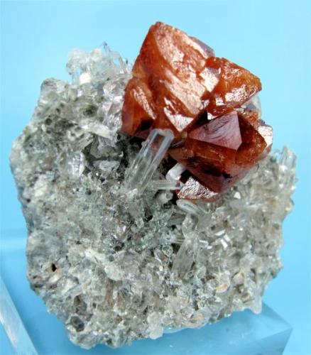 Scheelita, cuarzo<br />Pari, Khaplu, Distrito Ghanche, Gilgit-Baltistan (Áreas del Norte), Paquistán<br />60 mm x 50 mm x 27 mm. Agregado de cristales de scheelita: 35 mm<br /> (Autor: Carles Millan)
