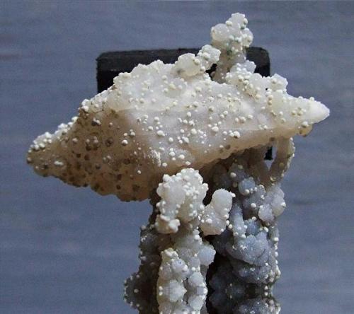 Quartz pseudomorph after Calcite on pseudostalactitic Quartz with what I believe to be little white Mordenite balls, Aurangabad, Maharastra, India. 4.1 cm wide. (Author: nurbo)