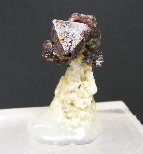 Espinela sobre matriz de  Forsterita
Sierra de Mijas - Málaga - Andalucía - España
3.5 x 2.3 cm - Cristal de 1.1 cm (Autor: Diego Navarro)