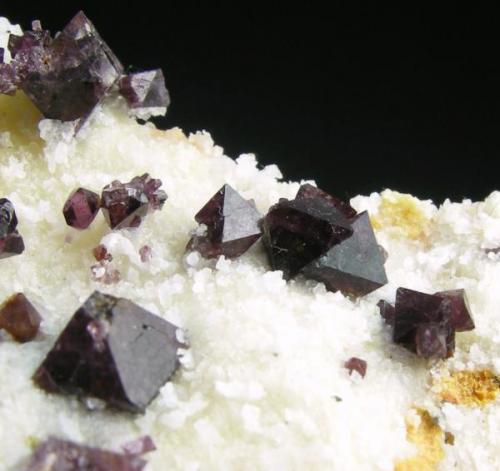 Espinela Violeta + Clinohumita
Sierra de Mijas - Málaga - Andalucía - España
Detalle - Cristales de 0.5 cm (Autor: Diego Navarro)