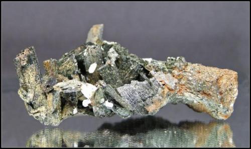 URALITA-MAGNETITA - Mina Milucha - (Finca el Polumbato) - Burguillos del Cerro - Badajoz - 8cm x 4 - cristales de 3cm de Uralita (Autor: Mijeño)