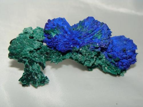 Azurite and malachite, Milpillas Sonora Mexico. 8cm size. (Author: javmex2)