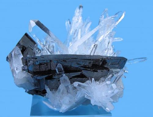 Hübnerite, quartz
Labor Victoria, Mundo Nuevo Mine, Huamachuco, Sanchez Carrion Province, La Libertad Department, Peru
80 mm x 77 mm x 70 mm. Main hübnerite crystal: 55 mm wide (Author: Carles Millan)