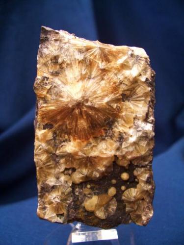 When I first started doing this list I was going to not do any repeats, however I have a good excuse in this specimen of Wavellite from the type locality at the High Down Quarry, Filleigh, North Devon, Devon, England. the specimen is 1 1/2" x 1" (3.81 x 2.54cm). I am also running out of different minerals at add to the list. (Author: Jim Prentiss)