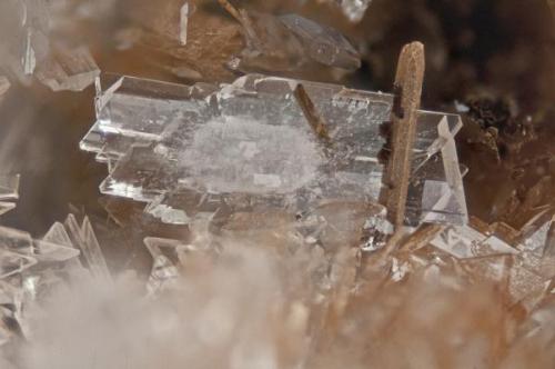 Albite fromPoudrette quarry (Demix quarry; Uni-Mix quarry; Desourdy quarry), Mont Saint-Hilaire, Rouville RCM, Montérégie, Québec, Canada
FOV=3mm (Author: Doug)