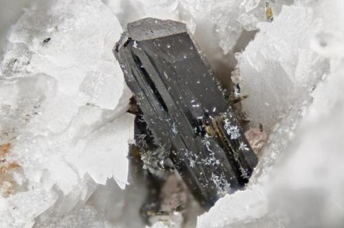 Aegirine from Poudrette quarry (Demix quarry; Uni-Mix quarry; Desourdy quarry), Mont Saint-Hilaire, Rouville RCM, Montérégie, Québec, Canada
FOV=5mm (Author: Doug)