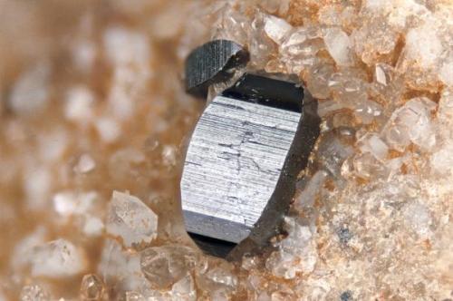 Anatase fromPoudrette quarry (Demix quarry; Uni-Mix quarry; Desourdy quarry), Mont Saint-Hilaire, Rouville RCM, Montérégie, Québec, Canada
FOV=3mm (Author: Doug)