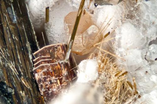 Astrophyllite and sphalerite from Poudrette quarry (Demix quarry; Uni-Mix quarry; Desourdy quarry), Mont Saint-Hilaire, Rouville RCM, Montérégie, Québec, Canada
FOV=3mm (Author: Doug)