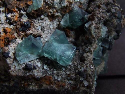 Twinned Rogerley Fluorites to 15 mm (Author: nurbo)