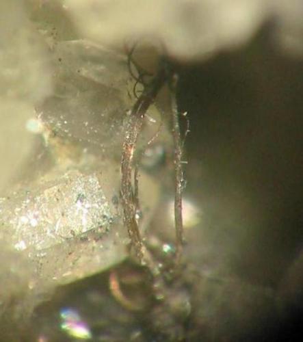 Silver wires in quartz vugg from Neue Hoffnung Gottes mine, Bräunsdorf, Erzgebirge, Saxony. Although this mine was a silver mine, native silver quite scarsely occured. Picture width: 4 mm. (Author: Andreas Gerstenberg)