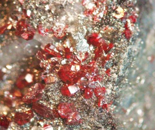 Cinabrio
mina Entredicho, Almadenejos, Ciudad Real, Castilla-La Mancha, España.
cristales 2 mm (Autor: Nieves)