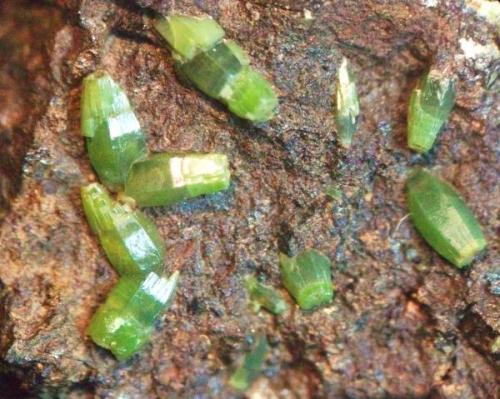 Piromorfita
Sierra Nevada, Granada, Andalucía, España.
cristales 3 mm (Autor: Nieves)