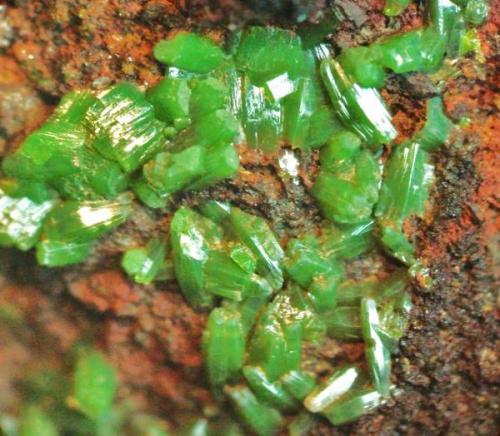 Piromorfita
Sierra Nevada, Granada, Andalucía, España.
cristales 2 mm (Autor: Nieves)