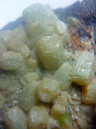 Piromorfita<br />Grupo Minero "Juan Antonio", Paraje Las Minillas, Garlitos, Comarca La Siberia, Badajoz, Extremadura, España<br />cristales de 4 y 5 milímetros<br /> (Autor: apita)