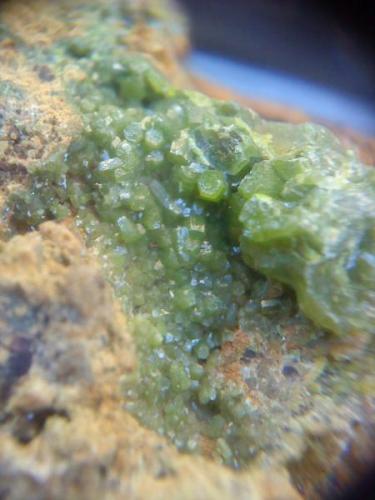 Piromorfita<br />Grupo Minero "Juan Antonio", Paraje Las Minillas, Garlitos, Comarca La Siberia, Badajoz, Extremadura, España<br />Cristales 2 y 3 milimetros<br /> (Autor: apita)