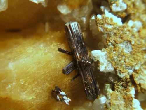 Rutilo<br />Canteras de Mármol, Macael, Comarca Valle del Almanzora, Almería, Andalucía, España<br />Cristal 1´3cm.<br /> (Autor: Nieves)