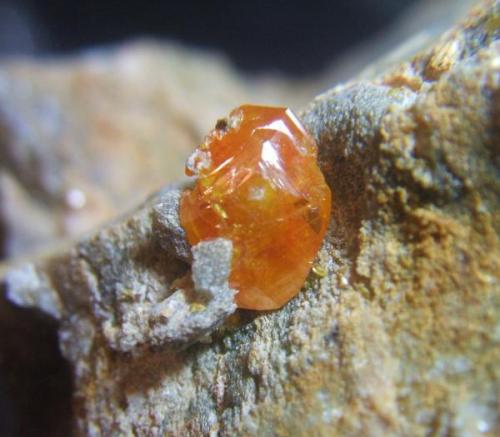 Wulfenita<br />Minas Los Lastonares, Albuñuelas, Comarca Valle de Lecrín, Granada, Andalucía, España<br />Cristal 1cm.<br /> (Autor: Nieves)