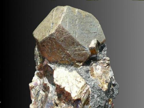 Pirita<br />Cala Mines, Cala, Comarca Sierra de Huelva, Huelva, Andalusia, Spain<br />Cristal de 2,5 cm.<br /> (Autor: nerofis2)