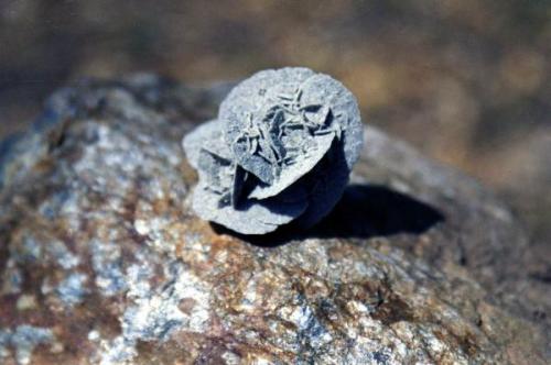 Yeso (variedad rosa del desierto)<br />Gypsum outcrop, Baza, Comarca Baza, Granada, Andalusia, Spain<br /><br /> (Autor: pepe morales)