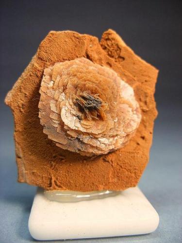 Barita.<br />Mina Victoria, Cabezo de San Ginés, El Estrecho de San Ginés, Cartagena, Comarca Campo de Cartagena, Región de Murcia (Murcia), España<br />3 x 3 cm. (roseta de 2 x 2 cm).<br /> (Autor: Juan Cabezas)