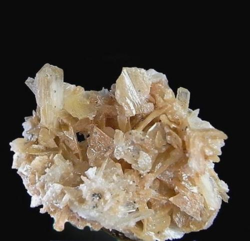 Cerusita<br />Filón Sur open pit, Minas de Tharsis, Tharsis, Alosno, Comarca El Andévalo, Huelva, Andalusia, Spain<br />Agregado de 4x3,3cm. Cristal 1,4x0,7cm.<br /> (Autor: DAni)
