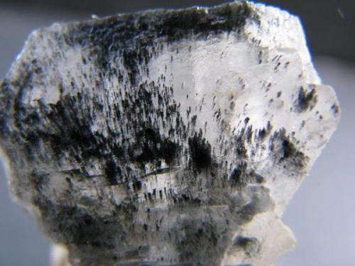 Halita<br />Virgen del Castellar Mine (El Castellar Mine), Villarrubia de Santiago, Comarca Mesa de Ocaña, Toledo, Castilla-La Mancha, Spain<br />25 x 24 x 12 mm.<br /> (Autor: José Luis Zamora)