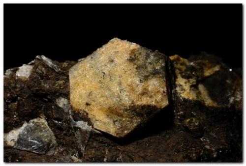 Magnesita.<br />Albatera, Comarca Vega Baja del Segura, Alicante / Alacant, Valencian Community / Comunitat Valenciana, Spain<br />Cristal de 2,5 cm.<br /> (Autor: Rafa Muñoz(mineralvarado))