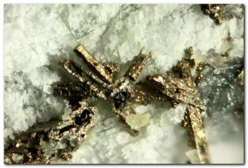 Breithauptita<br />Balcoll Mine, Falset, Comarca Priorat, Tarragona, Catalonia / Catalunya, Spain<br />Ancho 2 mm<br /> (Autor: Rafa Muñoz(mineralvarado))