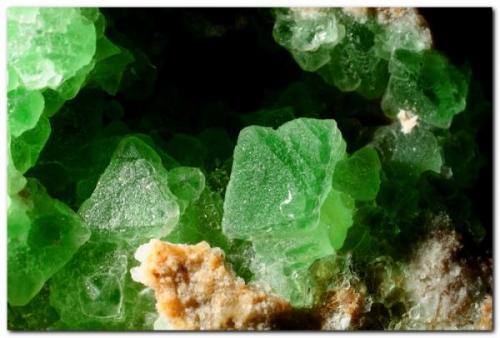 Fluorita.<br />Pedrera Berta, Turó de Can Domènech, Serra de Roques Blanques, Sant Cugat del Vallès-El Papiol, Comarca Vallès Occidental / Baix Llobregat, Barcelona, Cataluña / Catalunya, España<br />Cristal mayor 12 mm<br /> (Autor: Rafa Muñoz(mineralvarado))