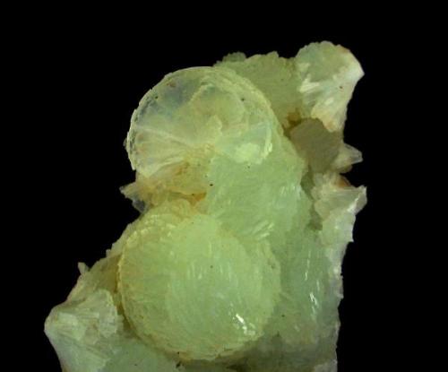 Prehnita<br />Oficarsa Quarry, De las Culebras Hill, Carchelejo, Cárcheles, Comarca Sierra Mágina, Jaén, Andalusia, Spain<br />Pieza; 8,5x5,2cm. Abanico abierto; 2,4cm de diametro.<br /> (Autor: DAni)
