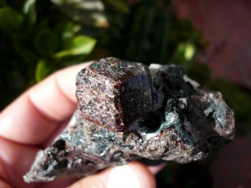 Granate (grupo)<br />Cala Mines, Cala, Comarca Sierra de Huelva, Huelva, Andalusia, Spain<br />Cristal 2 cm.<br /> (Autor: nerofis2)