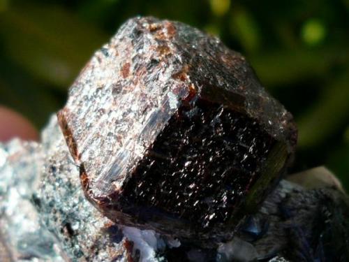 Granate (grupo)<br />Cala Mines, Cala, Comarca Sierra de Huelva, Huelva, Andalusia, Spain<br />Cristal 2 cm.<br /> (Autor: nerofis2)