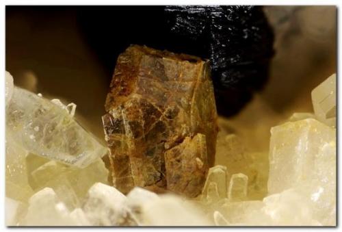 Titanita<br />Canteras de Mármol, Macael, Comarca Valle del Almanzora, Almería, Andalucía, España<br />Cristal de 3 mm.<br /> (Autor: Rafa Muñoz(mineralvarado))